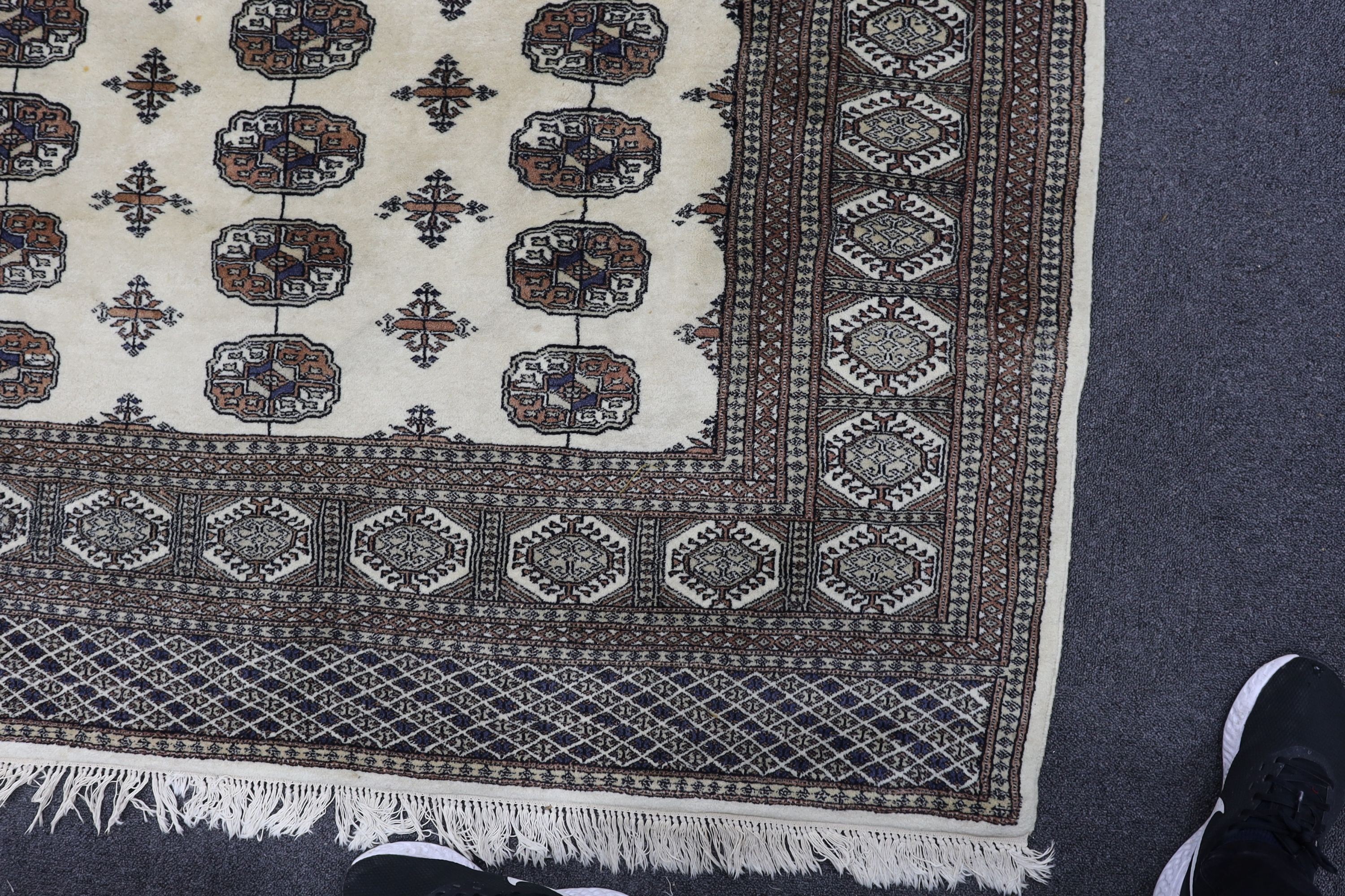 A Bokhara ivory ground rug, 246 x 156cm